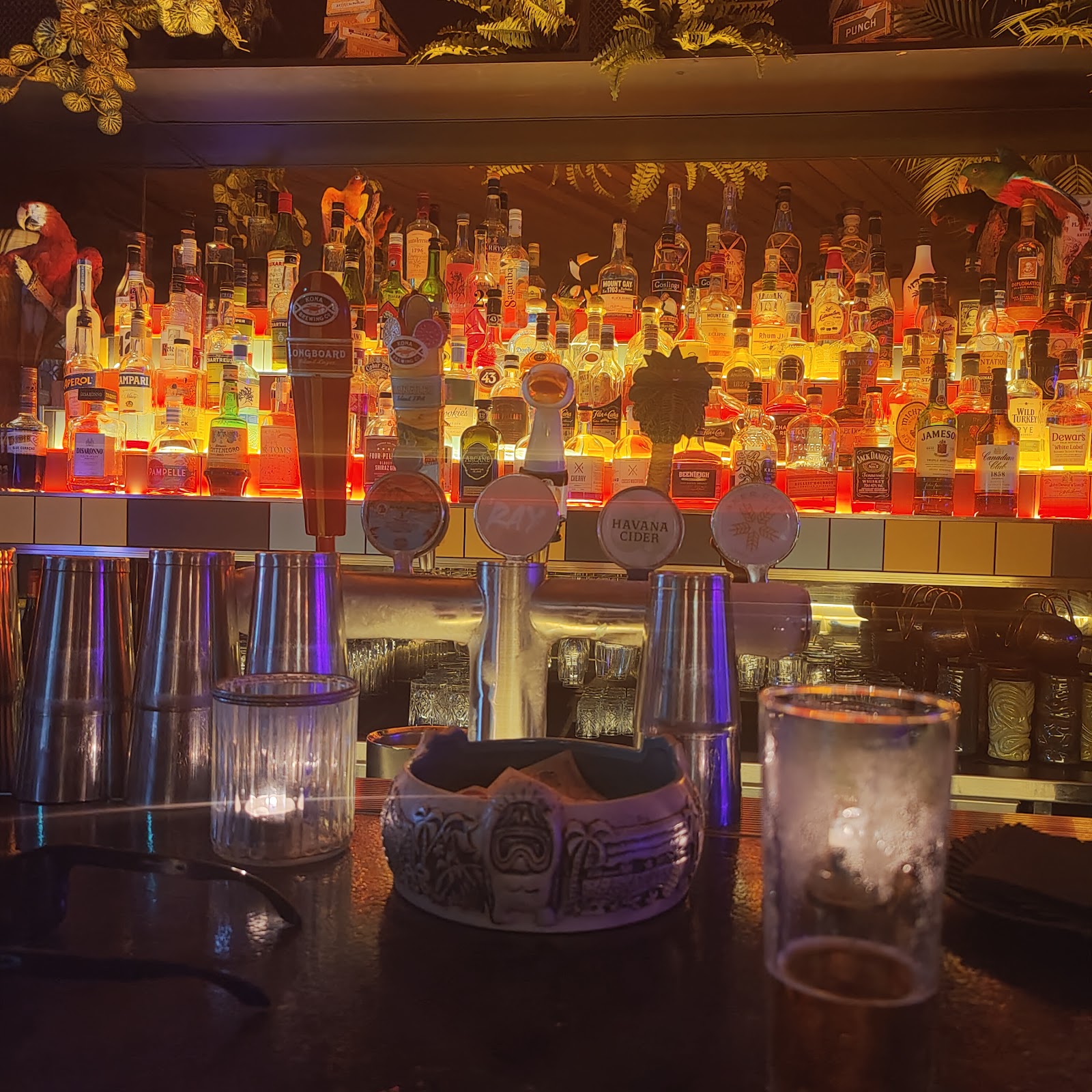 Cassette Bar photo