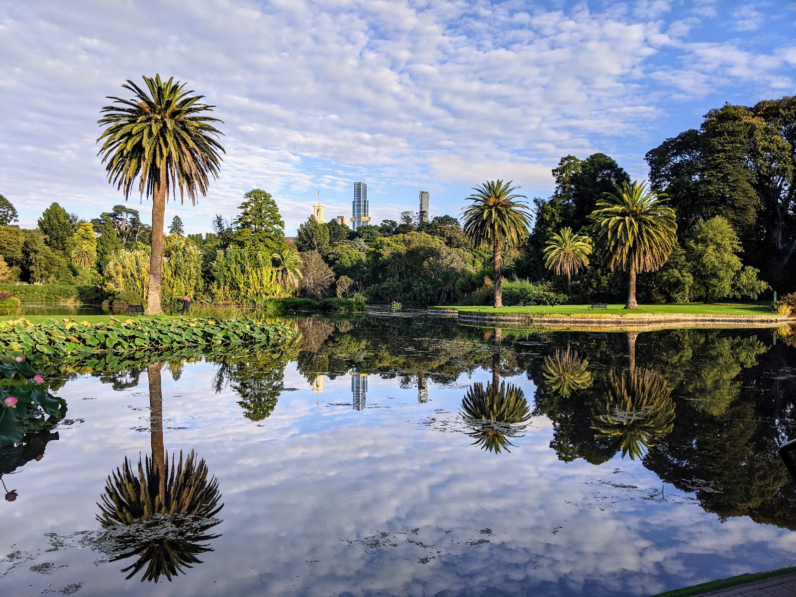 Things To Do picks in Richmond