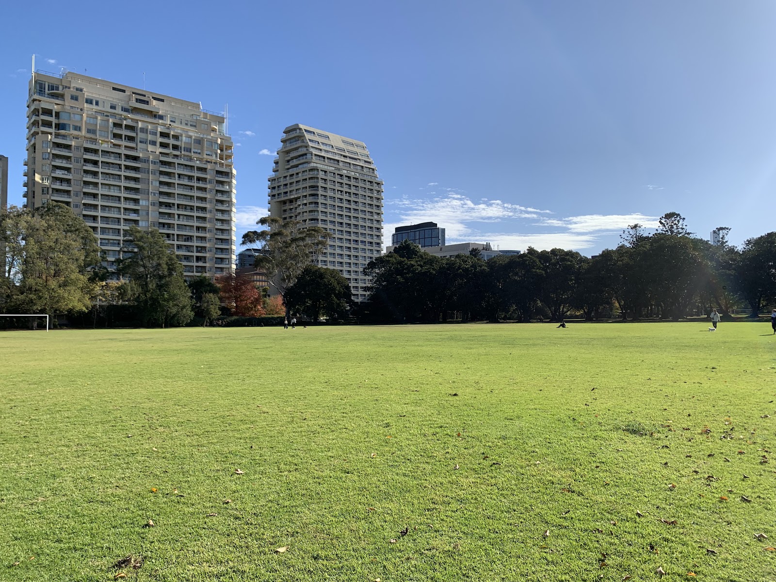 Fawkner Park Off-Leash Area photo