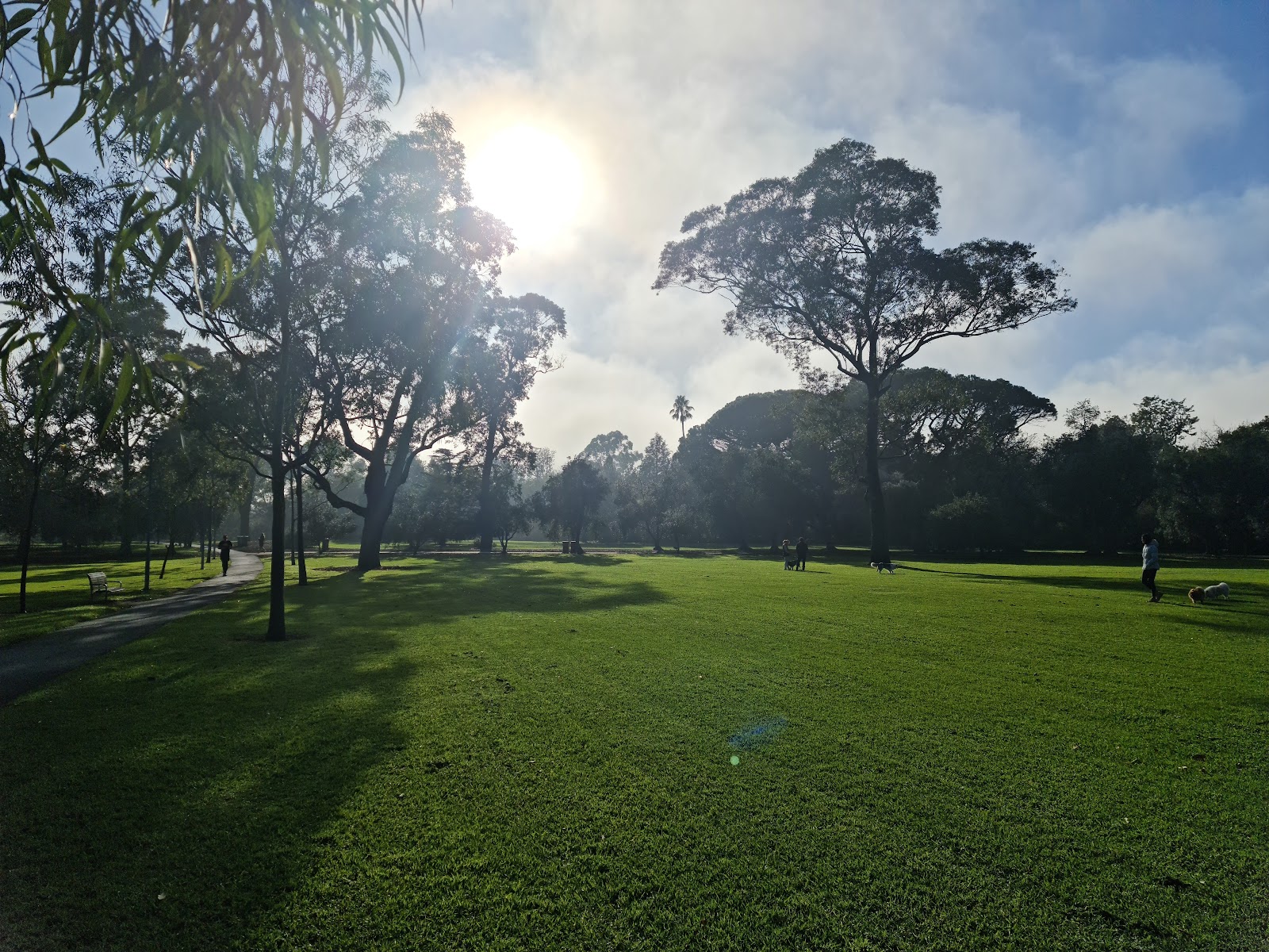 Alma Park West photo