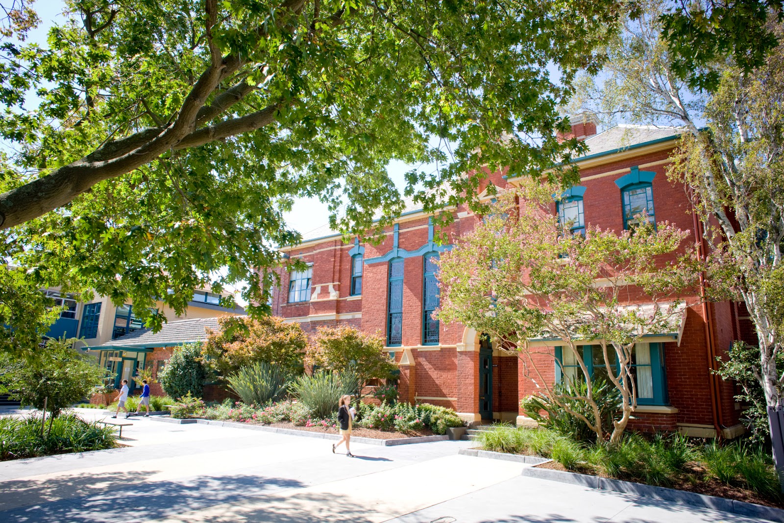 Carey Baptist Grammar School photo