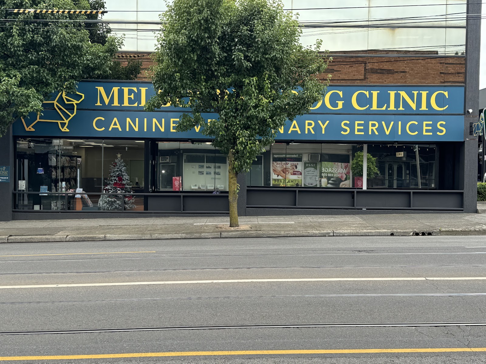 Melbourne Dog Clinic photo