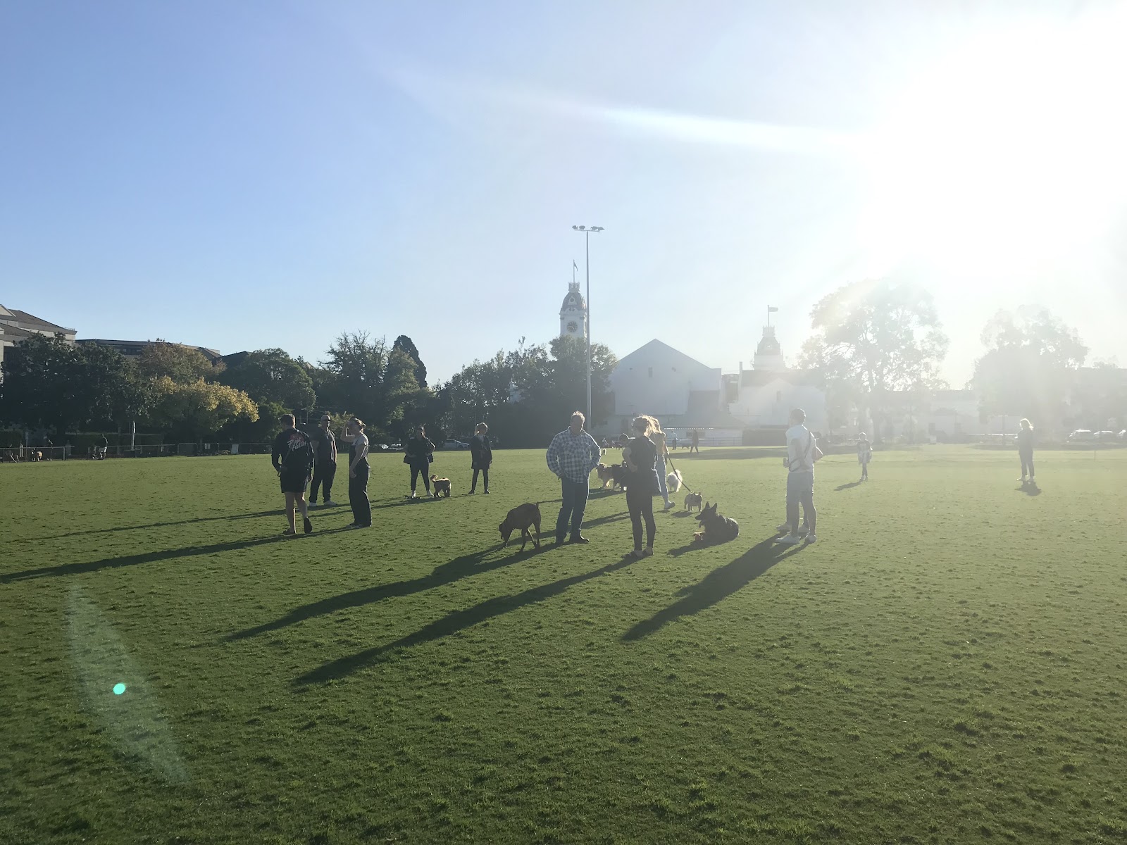 Malvern Cricket Ground Dog Off Leash Area photo