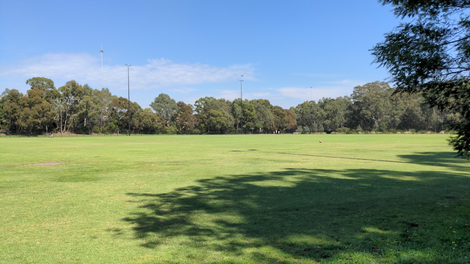 Willsmere Park Dog Off Leash Area photo