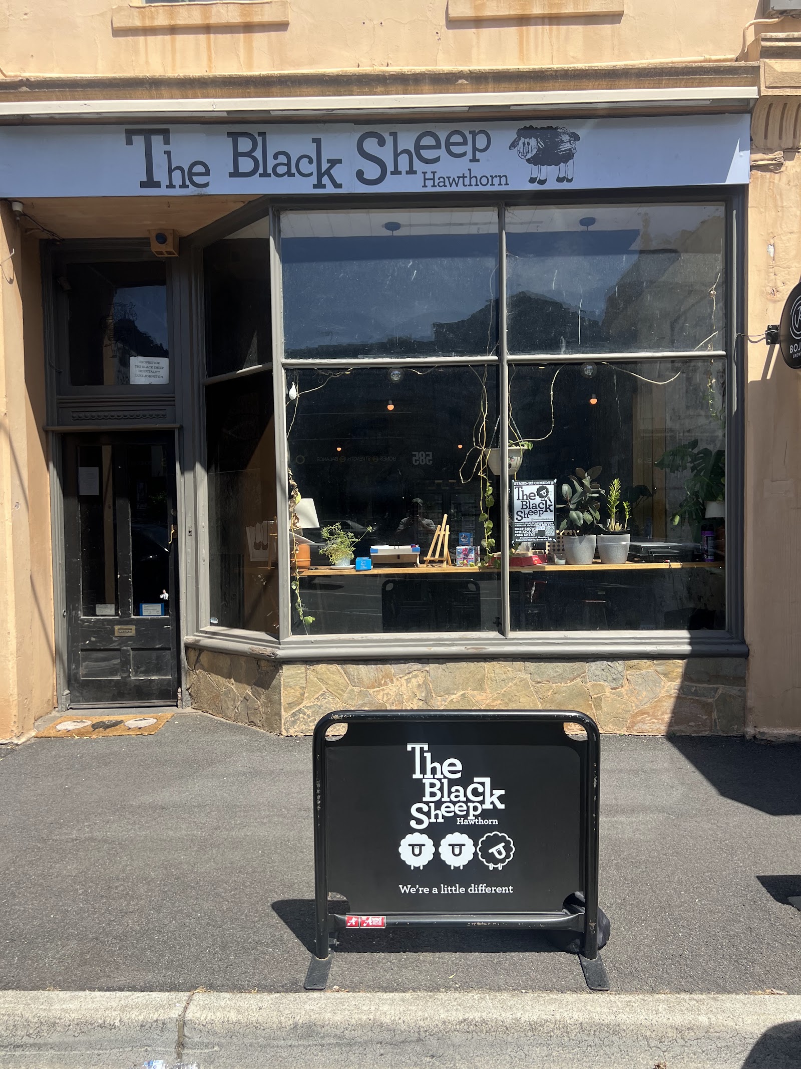 The Black Sheep Hawthorn photo