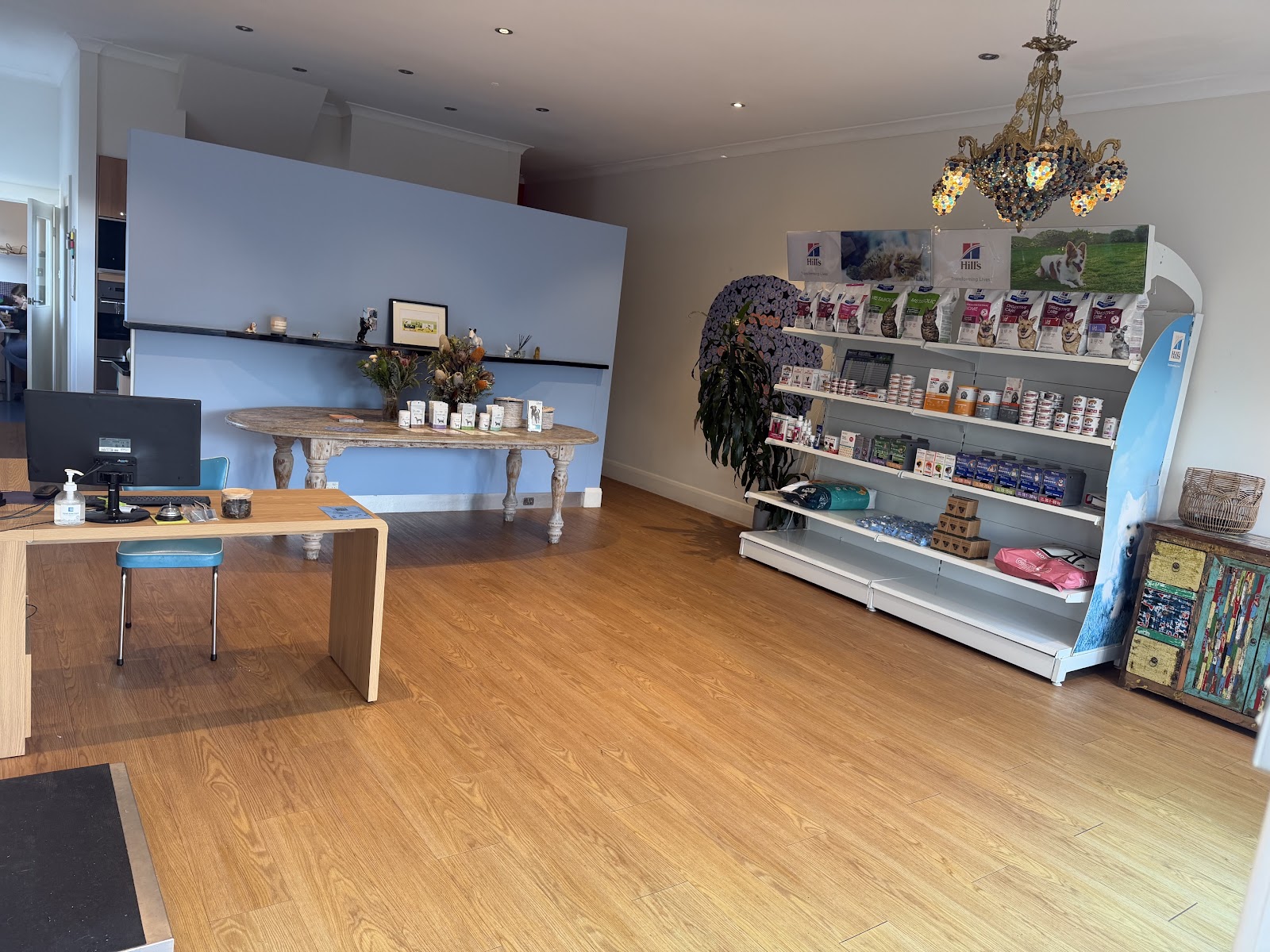 Evervet Hawthorn - Veterinary Clinic photo