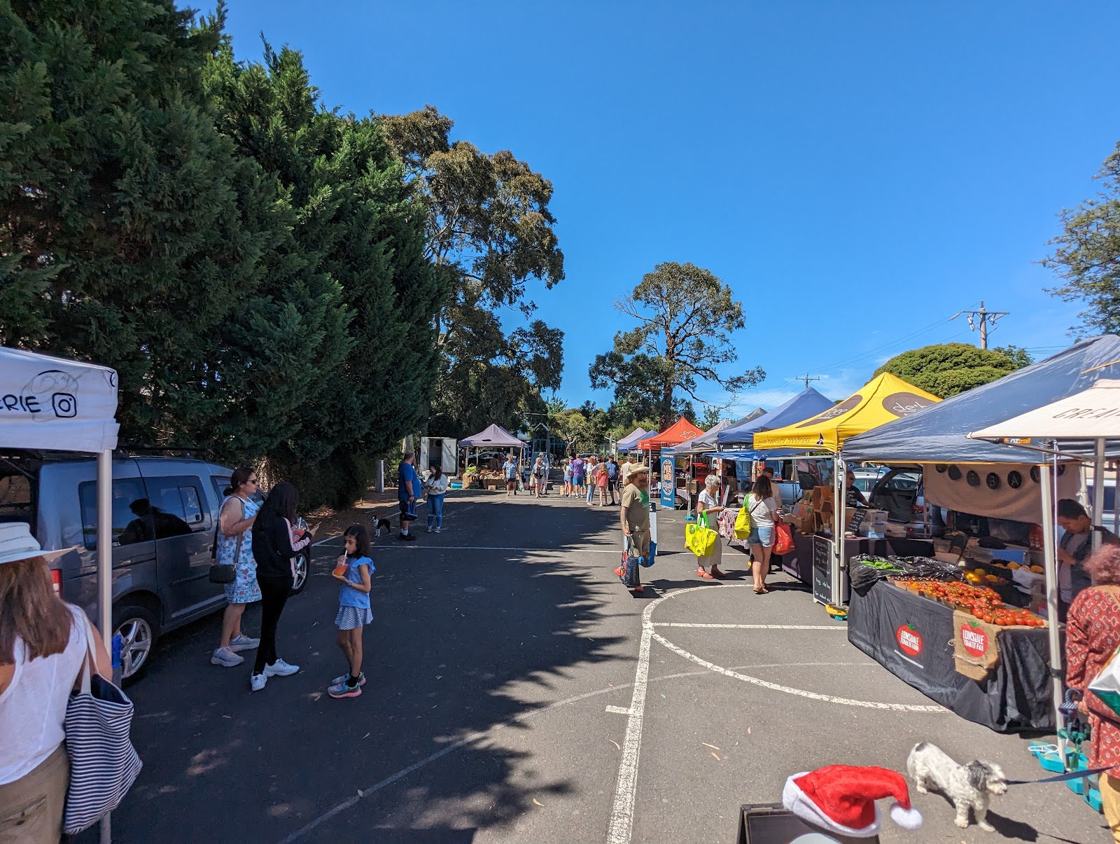 Slow Food Spotswood Farmers' Market photo