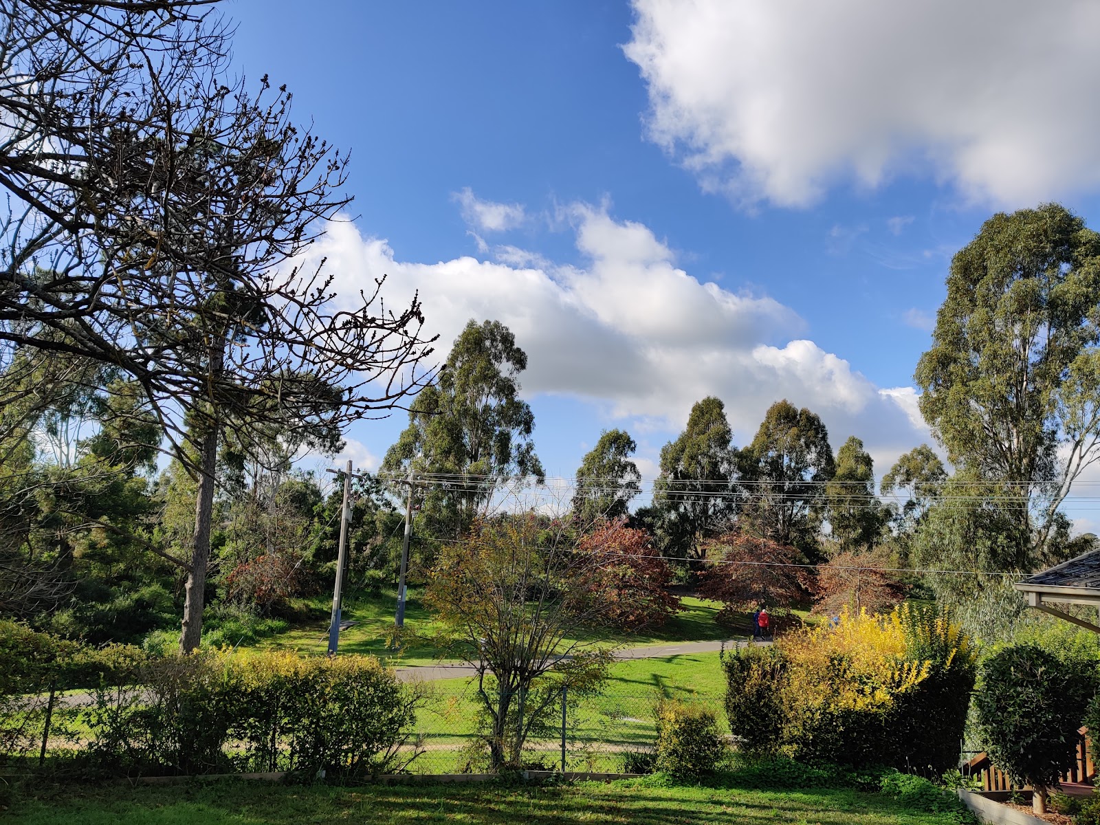 Koonung Park photo
