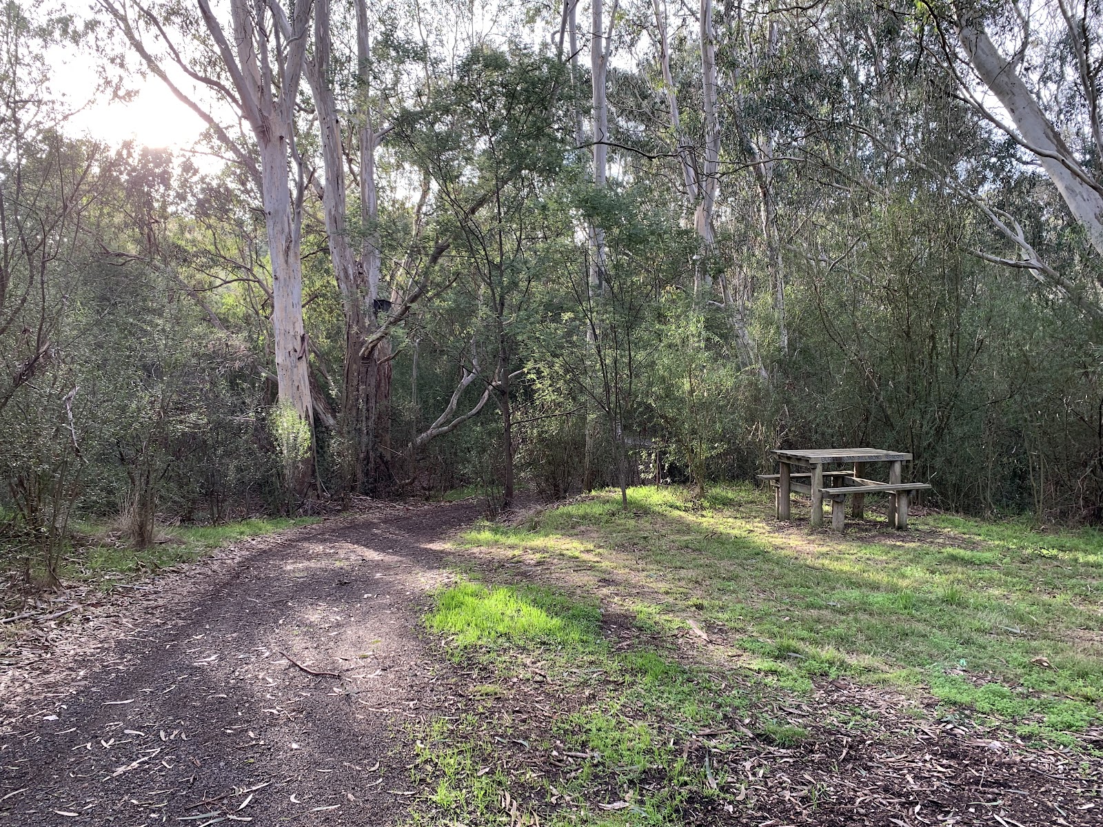 Burke Road Billabong Reserve photo