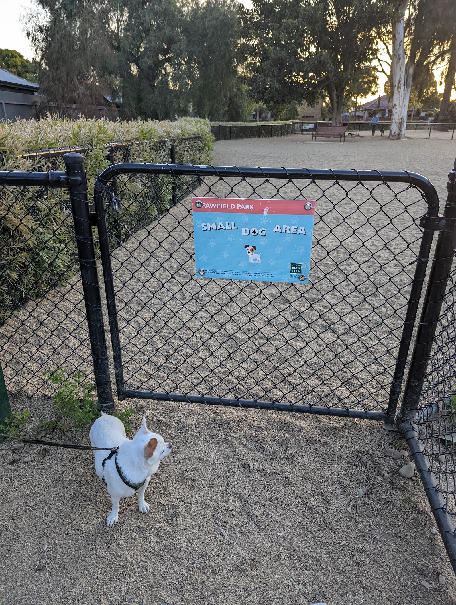 Pawfield Park Fenced Dog Park photo