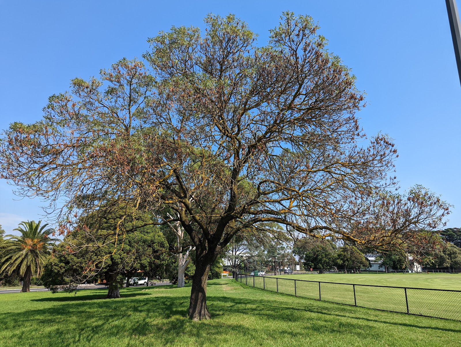 Family & Community picks in Ashburton