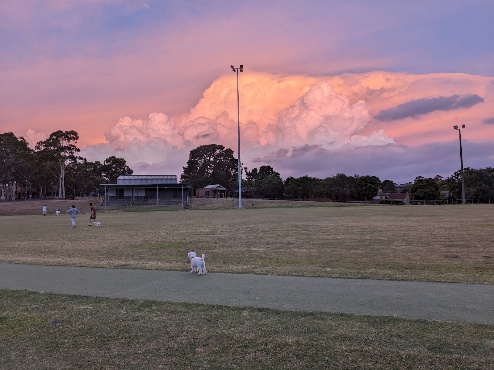 Timber Ridge Reserve photo