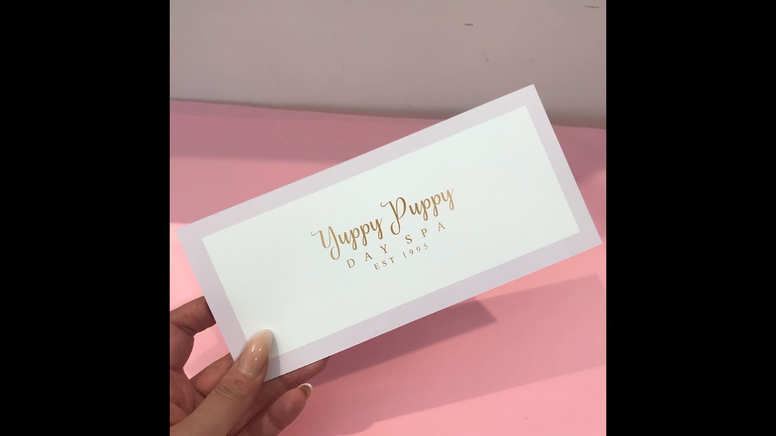 Yuppy Puppy Day Spa photo