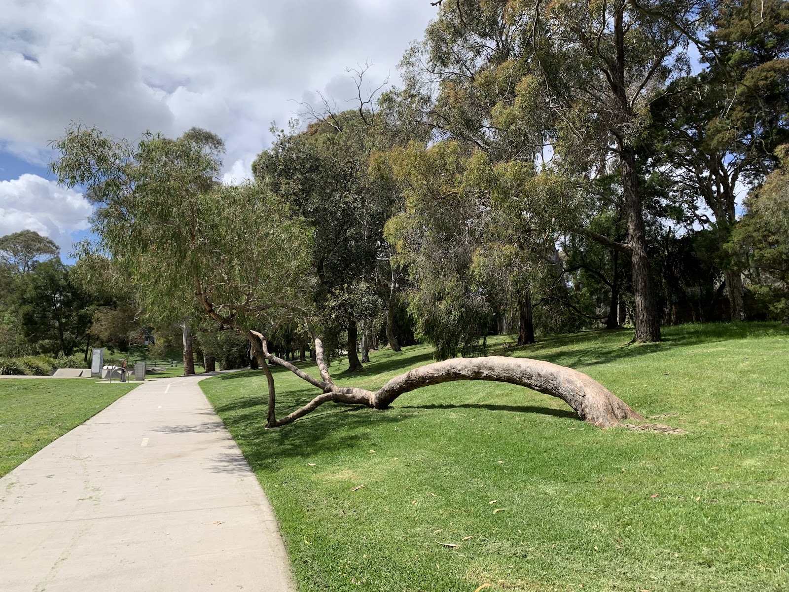 Family & Community picks in Glen Iris
