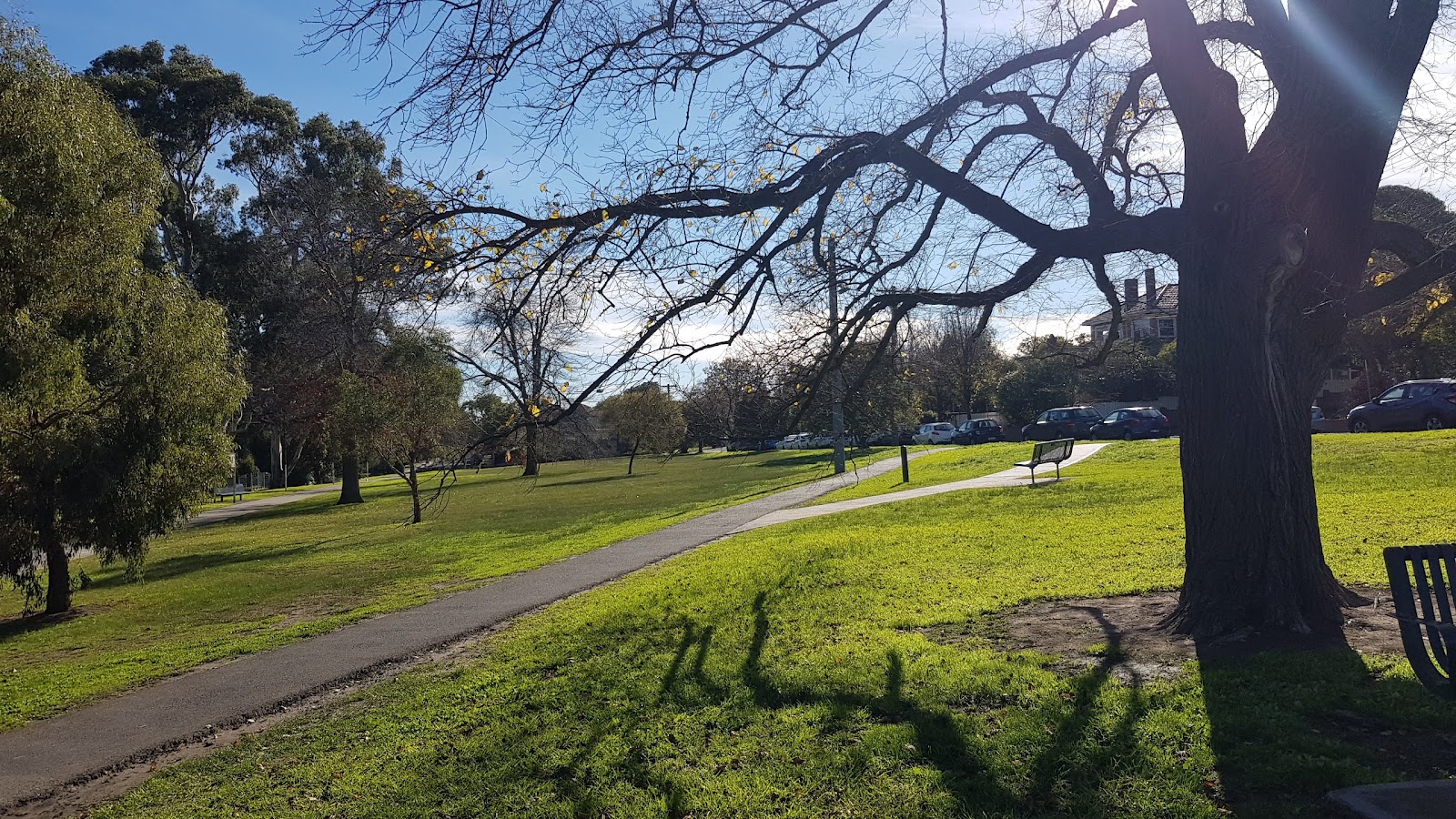 Family & Community picks in Camberwell