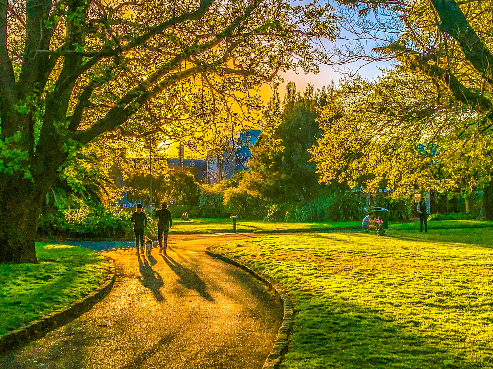Central Gardens photo