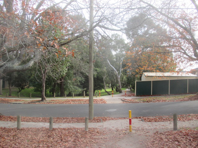 Summerhill Park Dog Off Leash Area photo