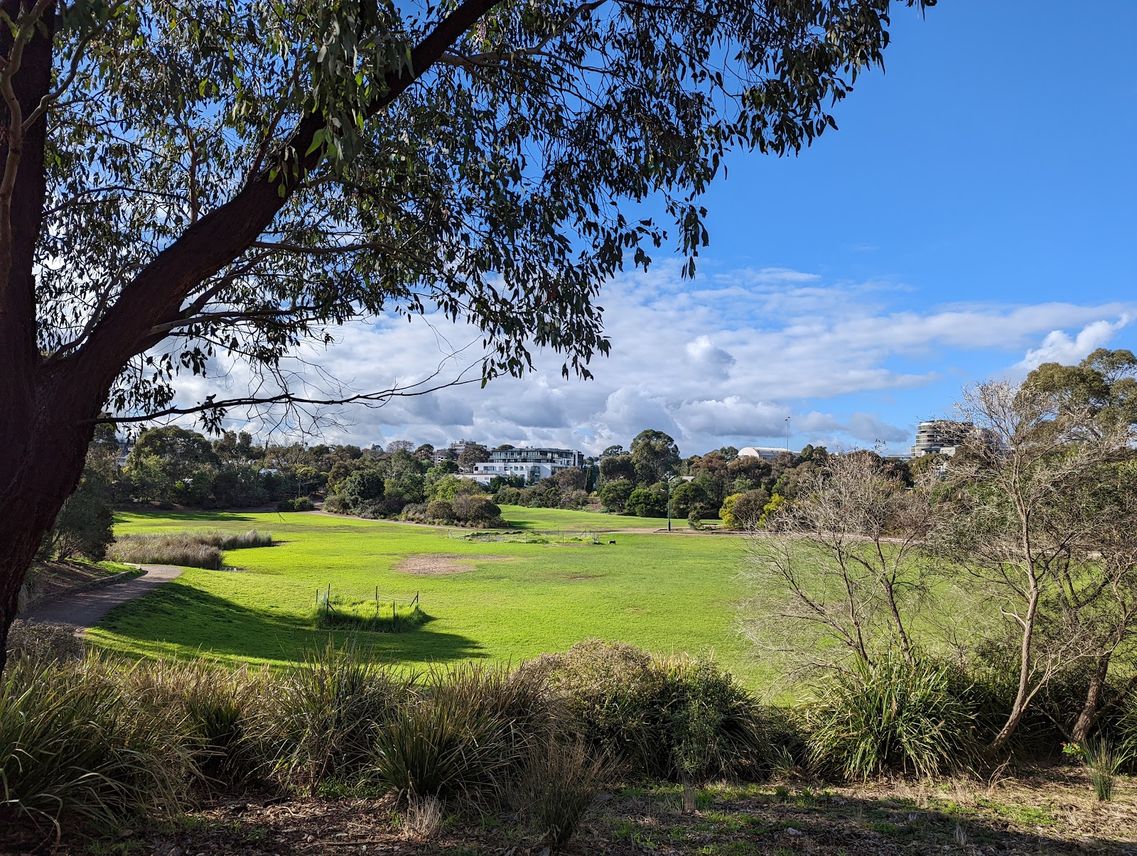 Family & Community picks in Hawthorn East