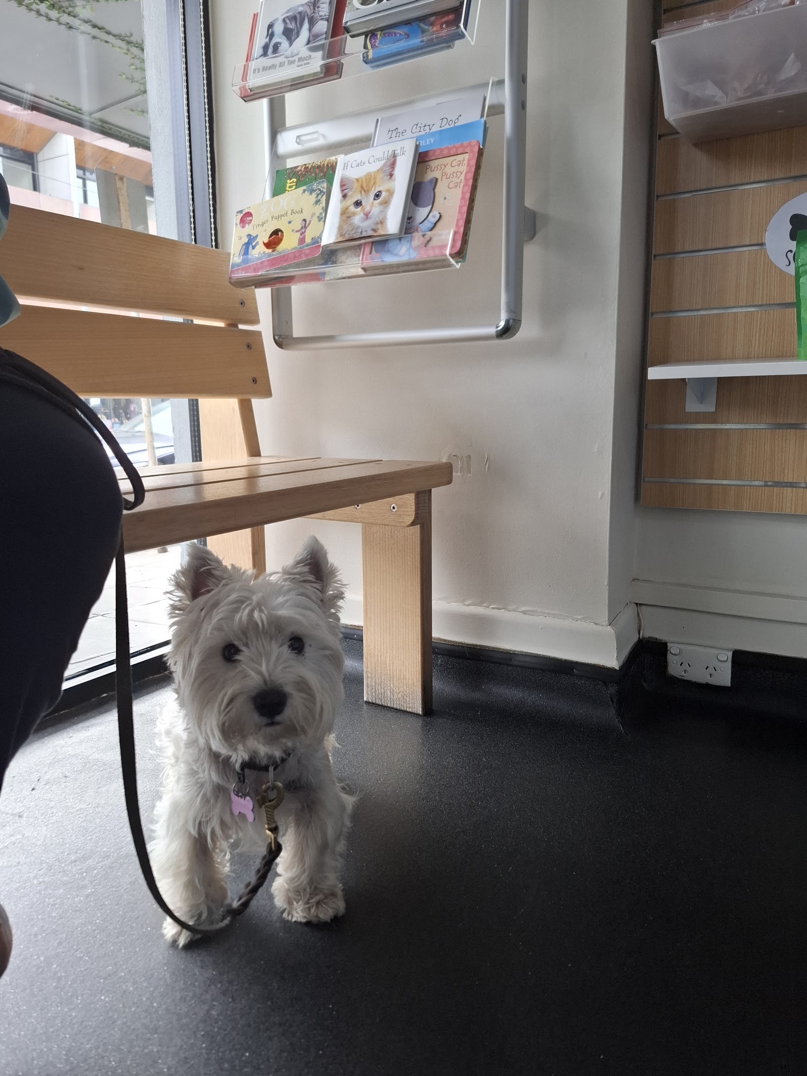East Malvern Veterinary Clinic photo