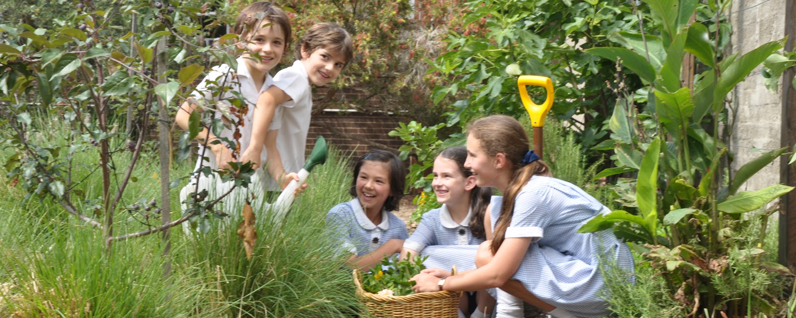 Erasmus Primary School photo