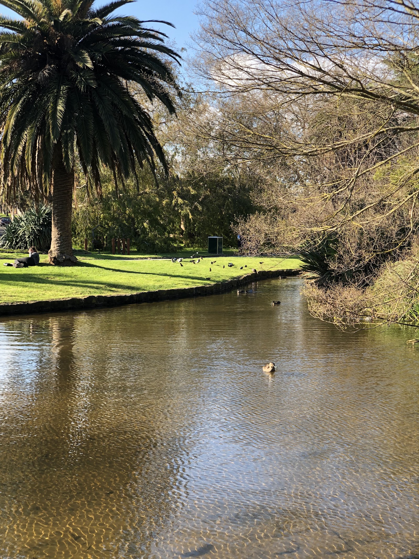 Hedgeley Dene Gardens photo