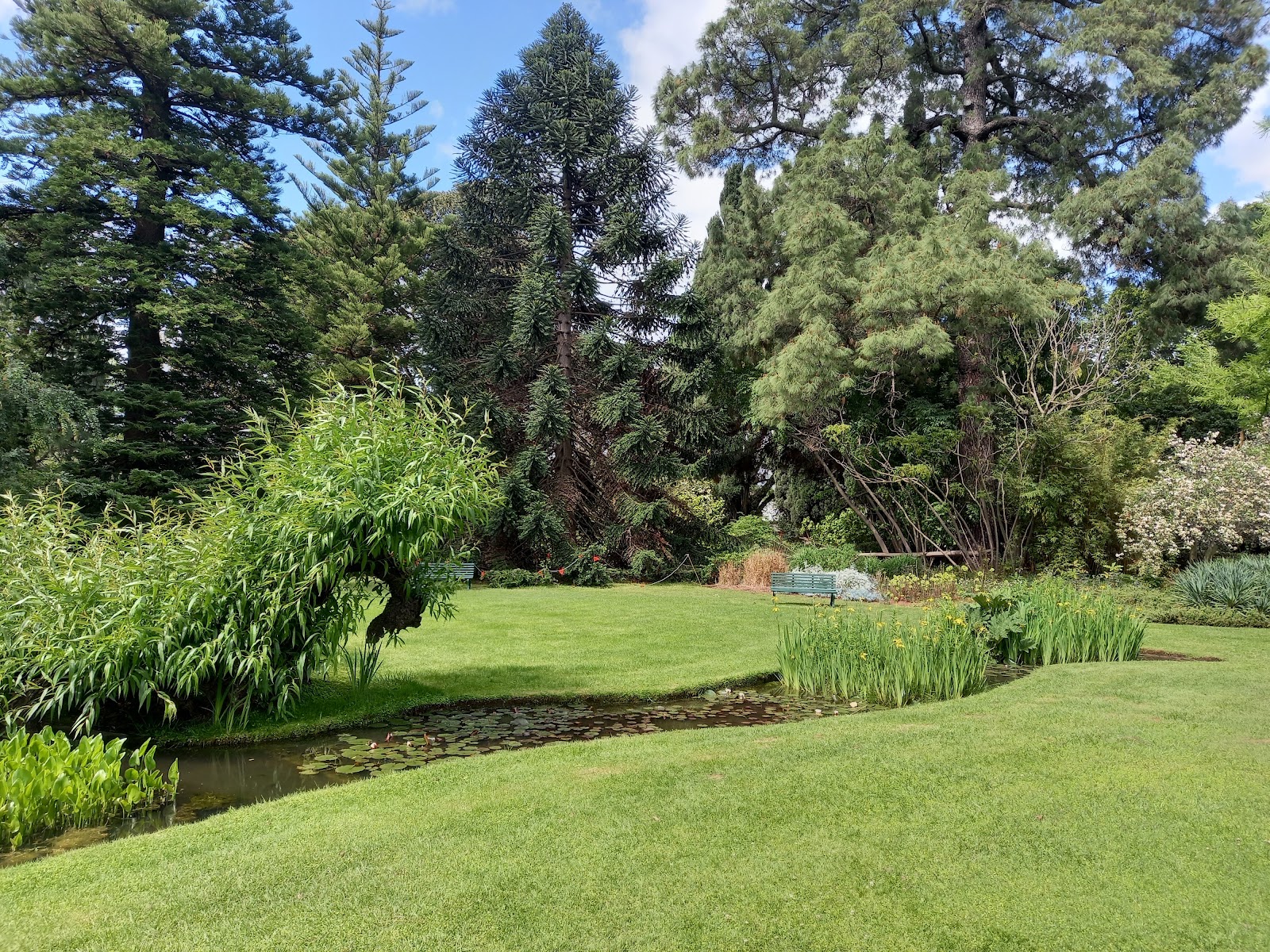 Burnley Gardens photo
