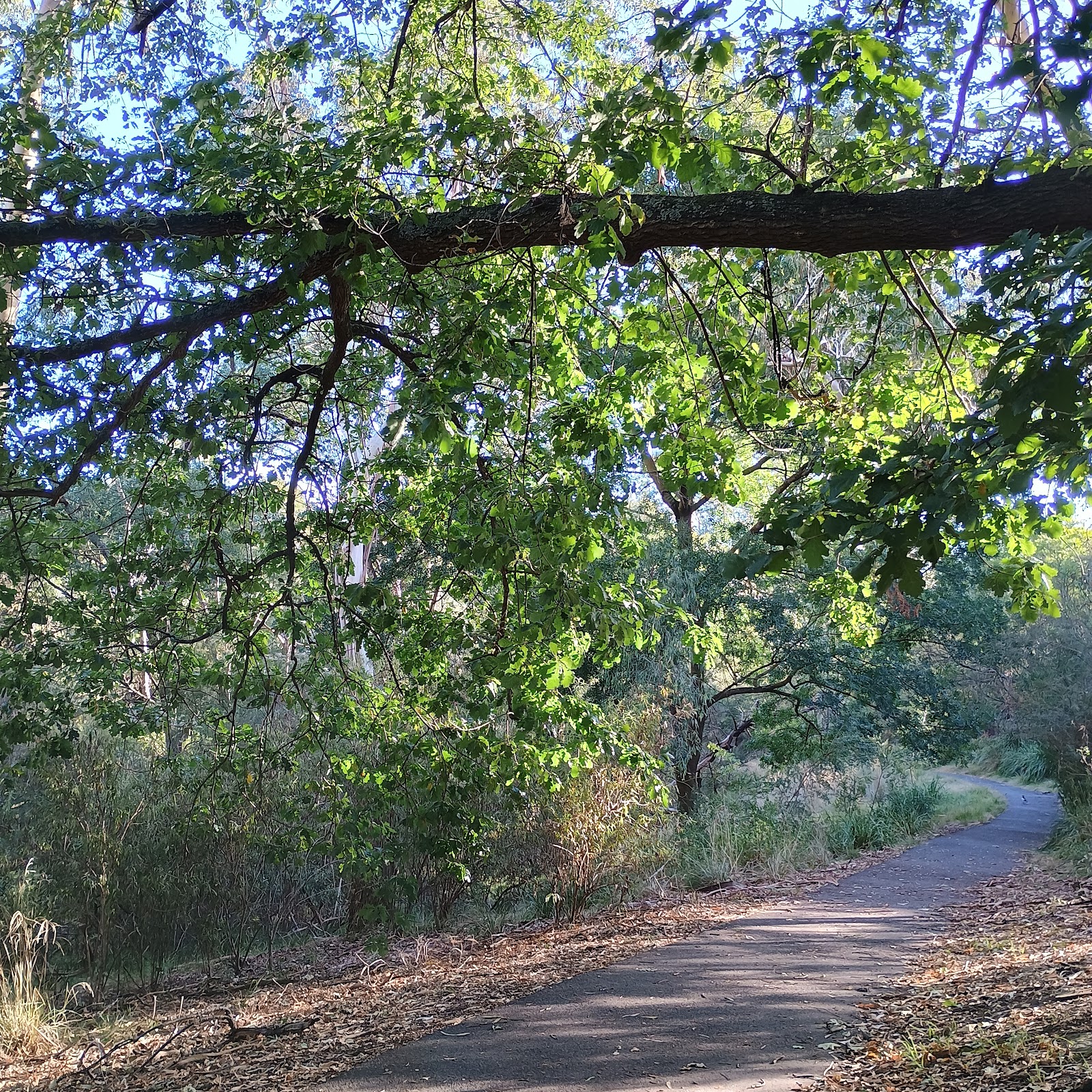 South Surrey Park Playground photo