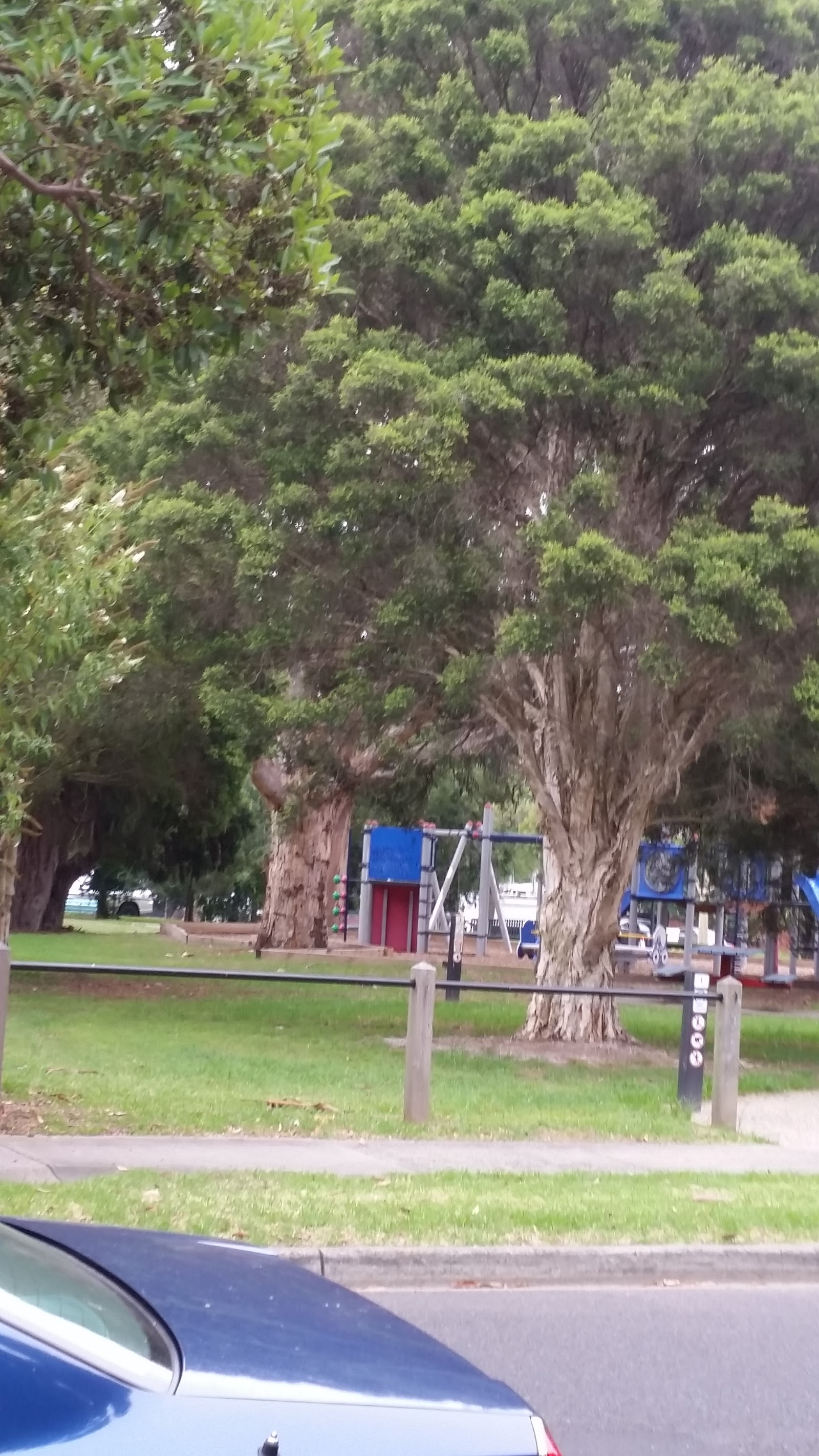 Gordon Street Reserve photo