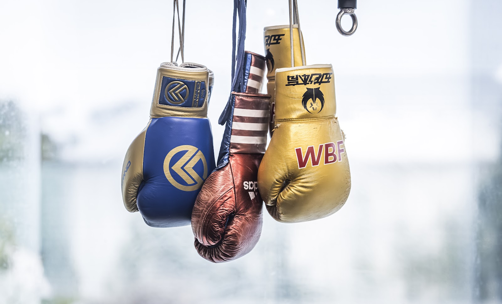 Murphy's Boxing Gym photo