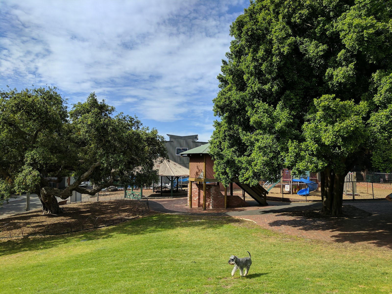 Family & Community picks in Toorak