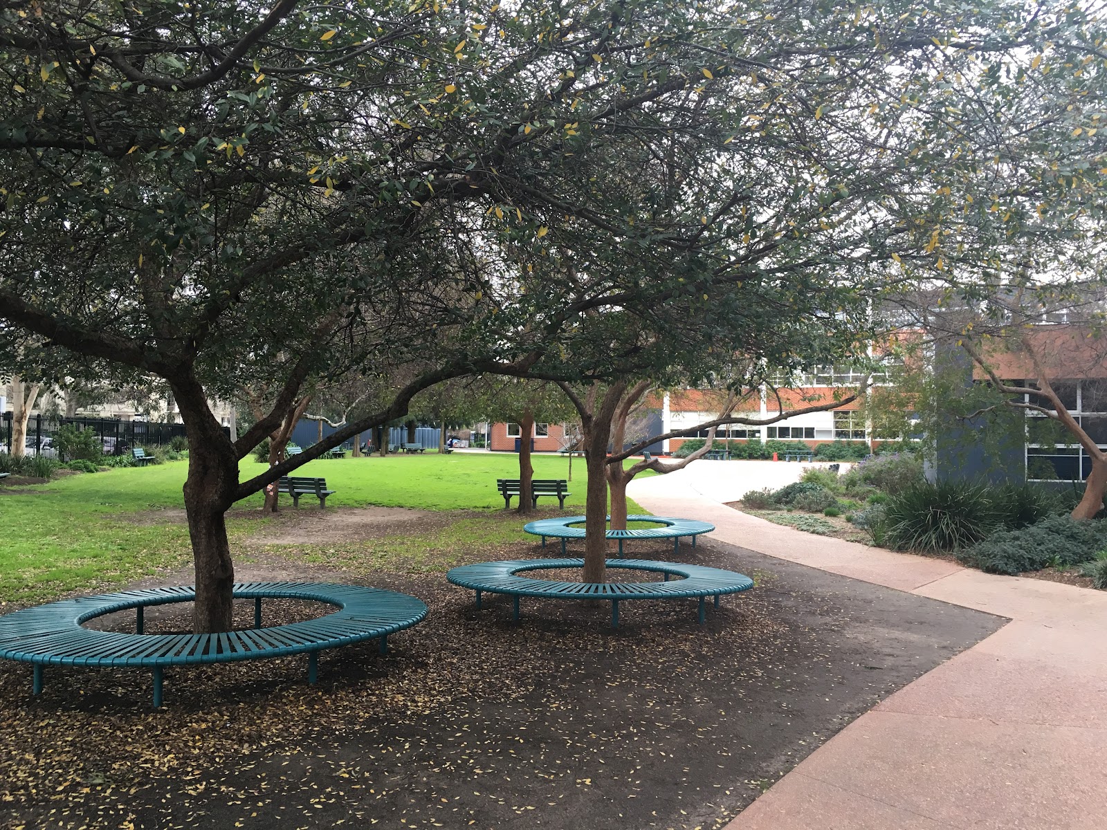 Melbourne Girls College photo