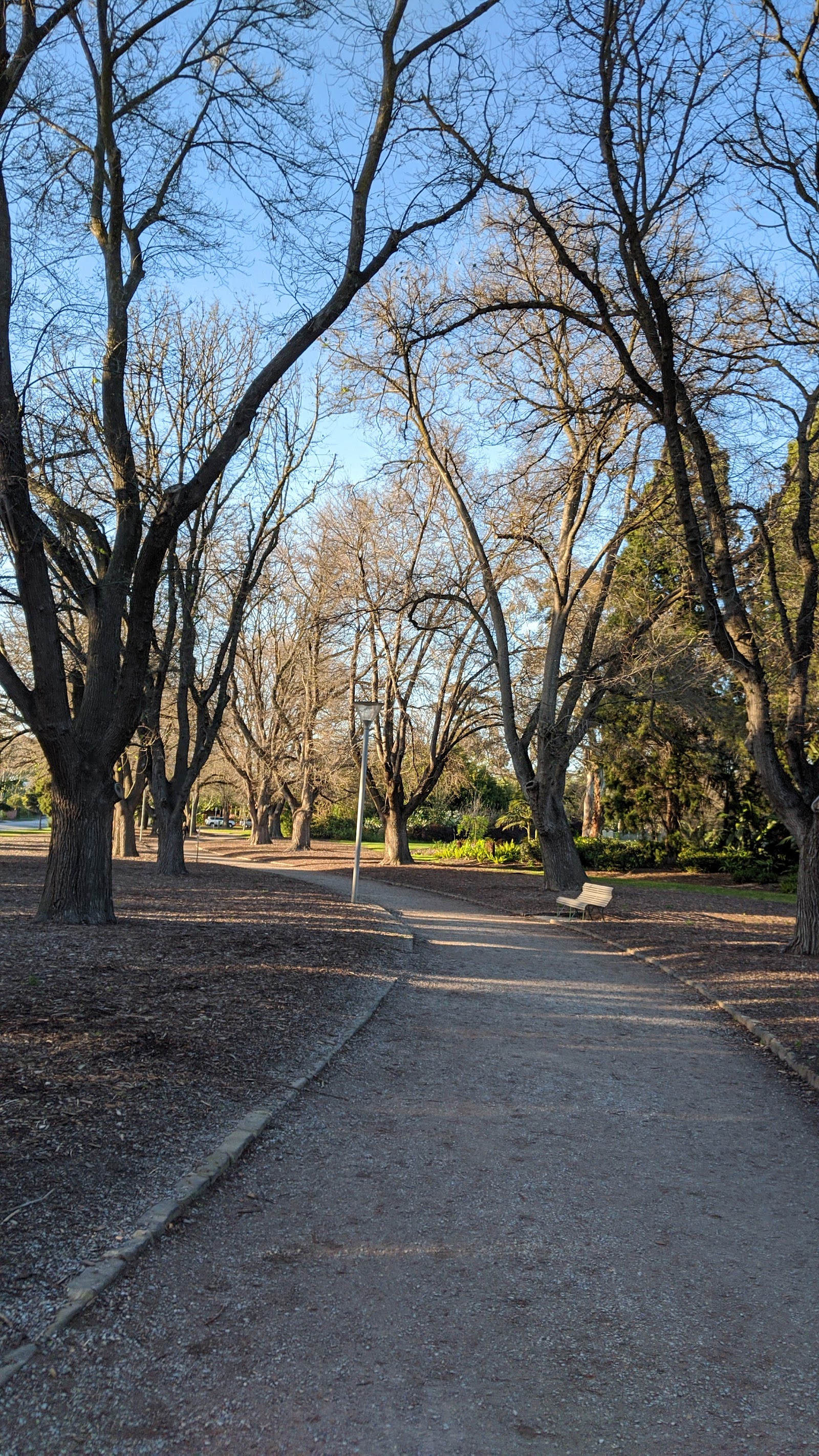Things To Do picks in Glen Iris