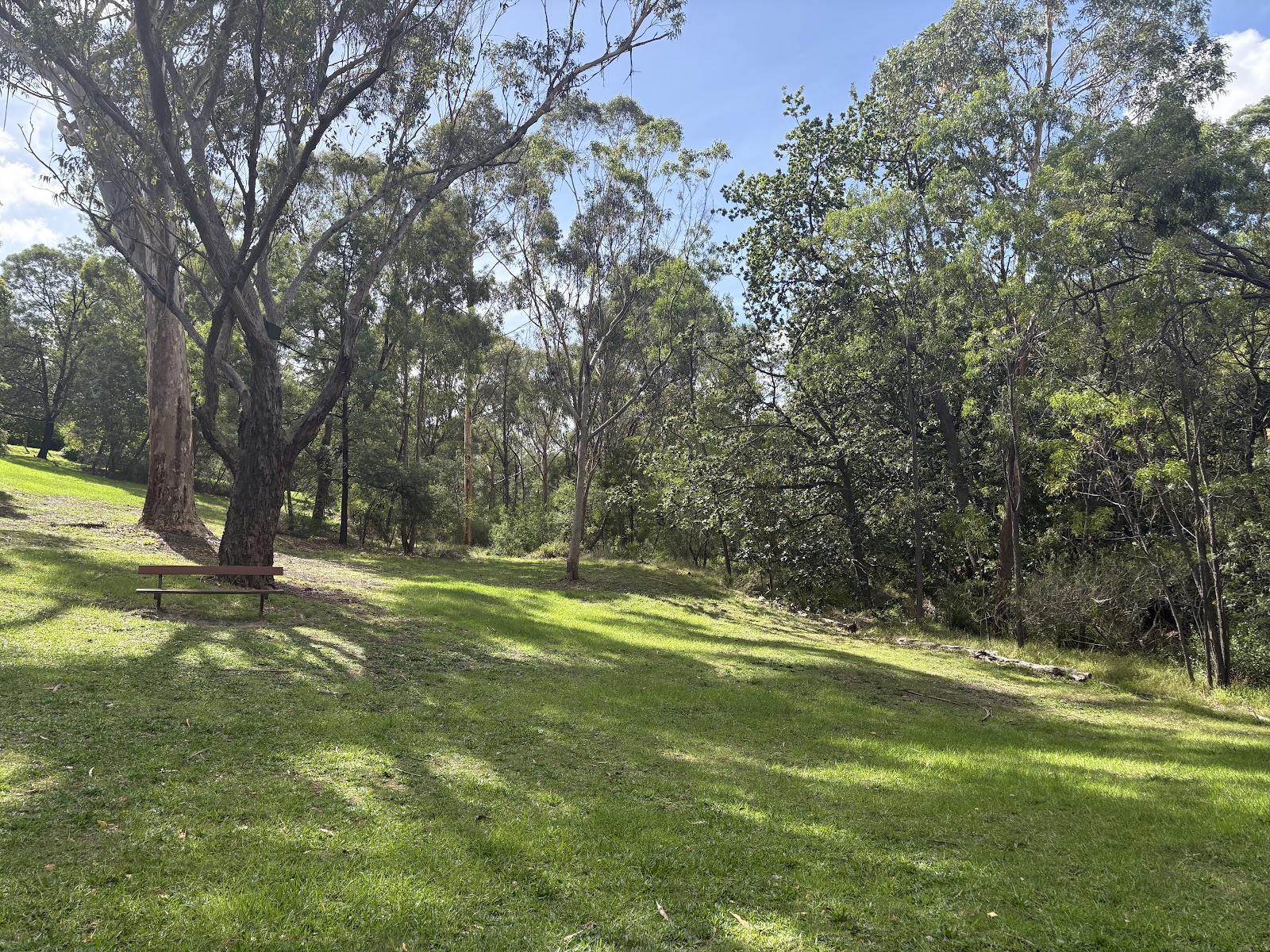 South Surrey Park photo