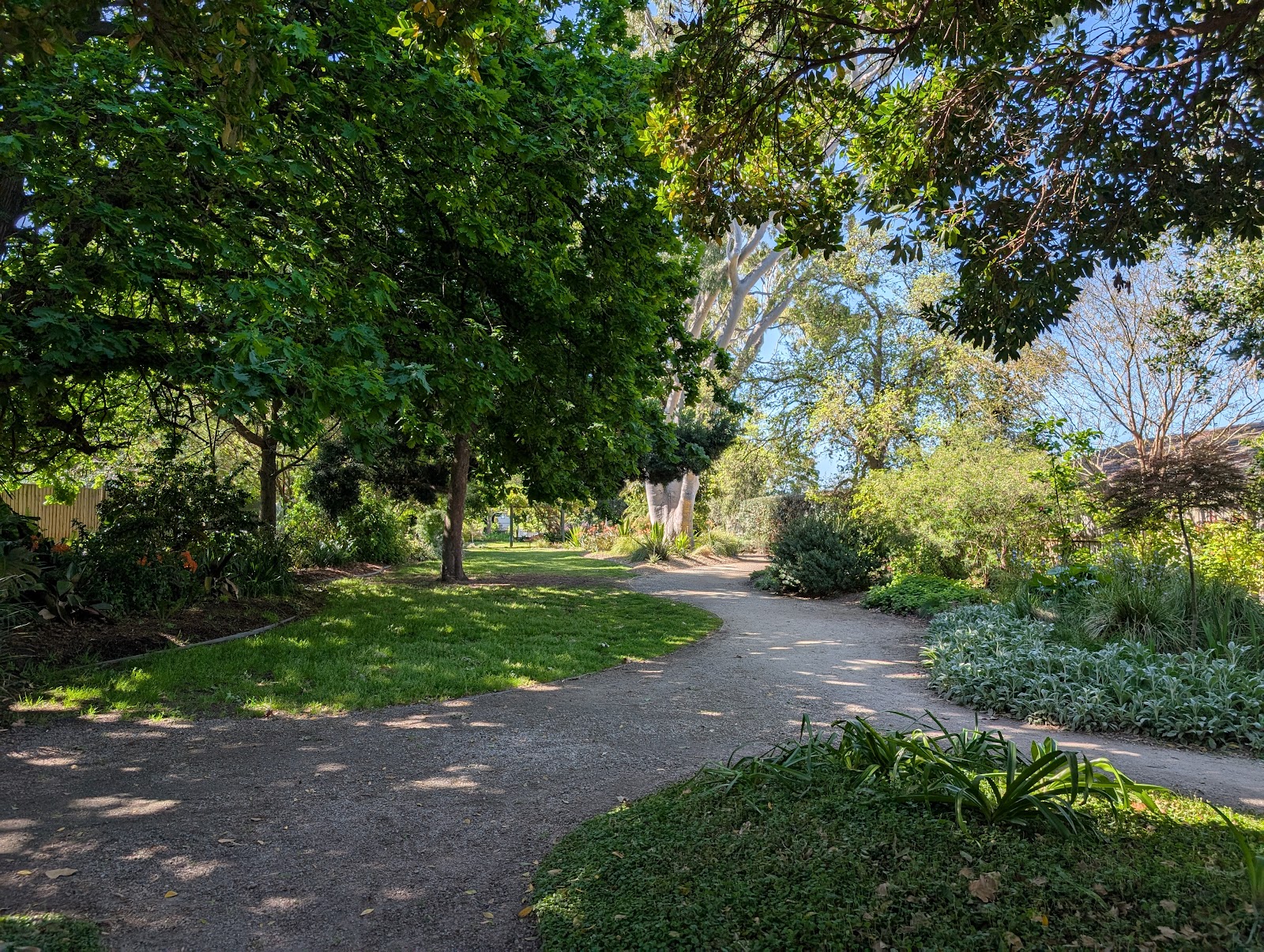 Milton Gray Reserve Dog Off Leash Area photo